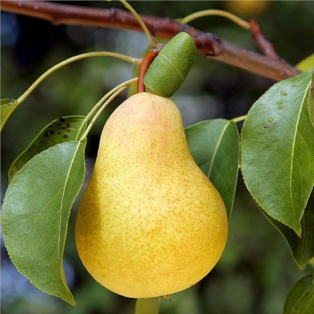 201e04cb-d33c-11ef-8915-246e9611e8f5-1