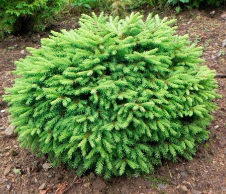 08ef8cf4-358f-11f0-8918-246e9611e8f6-1