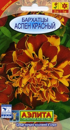 6a97b4ca-dcea-11dd-9138-00500454e615-2