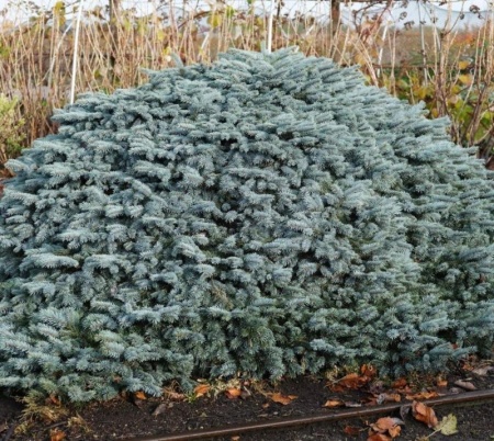 63020c87-d10f-11f0-891e-246e9611e8f6-1