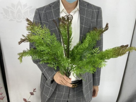 f029e633-5a59-11f0-891b-246e9611e8f7-1