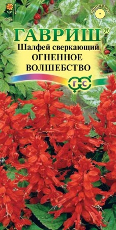 9b4cff5d-dcea-11dd-9138-00500454e615-1