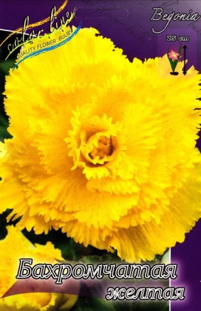 cfbc2330-373f-11eb-b90a-005056c00008-1