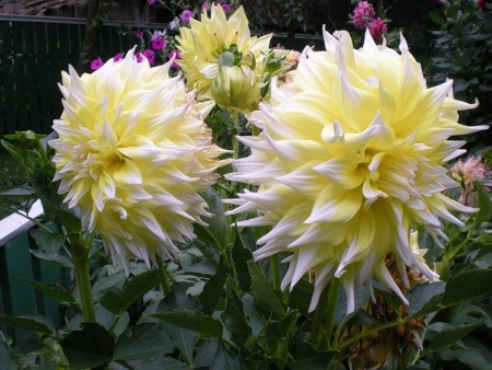 f46f6fd2-2ea6-11e0-9fb4-00500454e615-1