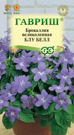 0416b188-c551-11de-87aa-0019dbe91ea3-1