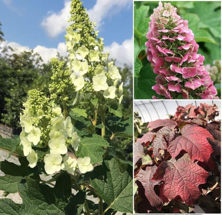 5d80c6dc-c1fb-11f0-891d-246e9611e8f7-1