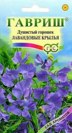 7757a6ad-dcea-11dd-9138-00500454e615-2