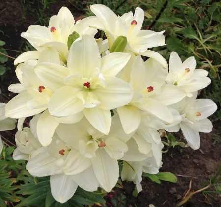 b2abf88f-6752-11ed-bd4c-001e673ebdea-1