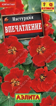 8949fa23-dcea-11dd-9138-00500454e615-1