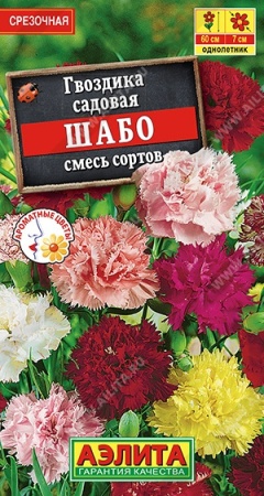 70f41aef-dcea-11dd-9138-00500454e615-1