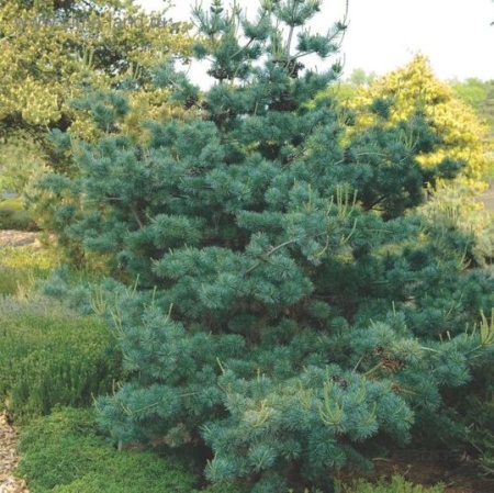 98fbe8c6-c2b3-11ef-8915-246e9611e8f5-2