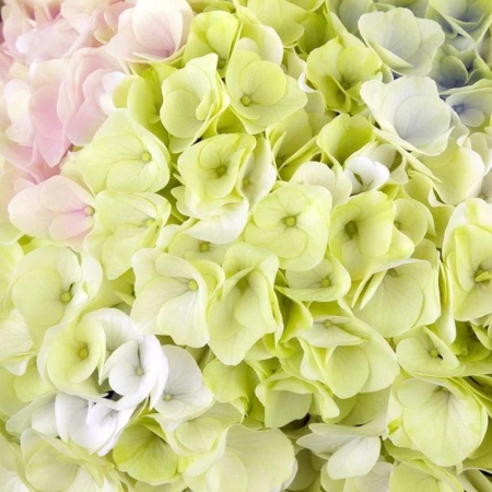 b7af09ce-ce9a-11f0-891e-246e9611e8f6-1