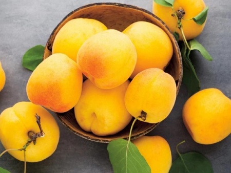 d94bdc67-c9c6-11ef-8915-246e9611e8f5-1