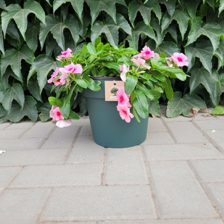 8f3cd718-55e4-11ed-aea3-001e673ebdea-2