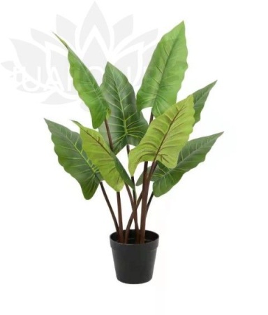 e2d70e48-cab8-11f0-891e-246e9611e8f6-1