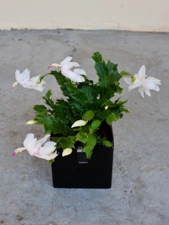 abf5e63e-cb8f-11f0-891e-246e9611e8f6-1