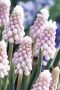 52c5862a-1217-11e3-9a83-00500454e615-1