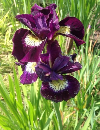 be308767-ffe5-11ef-8915-246e9611e8f5-1