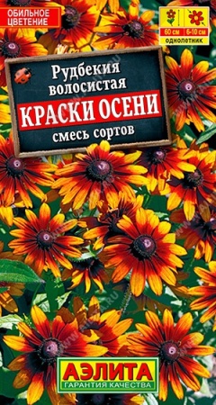 931e9166-33e8-11df-883c-0019dbe91ea3-1