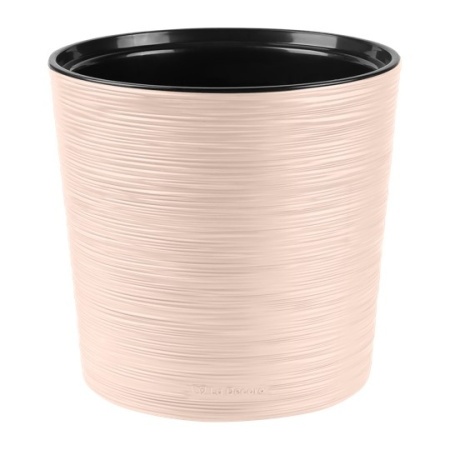 02e8e2a6-da39-11ef-8915-246e9611e8f5-1