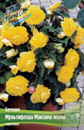 20c3edbd-2240-11e0-9fb4-00500454e615-1