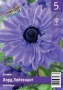 85c369d8-b44c-11ee-8bd7-001e673ebdea-1