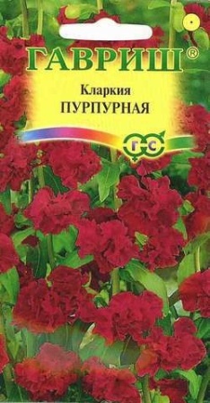 f4a8ca33-e2a1-11df-b975-0019dbe91ea3-2