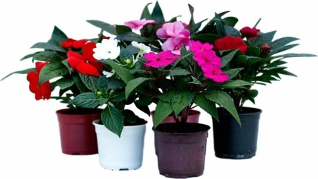 a3985941-cb8d-11f0-891e-246e9611e8f6-1
