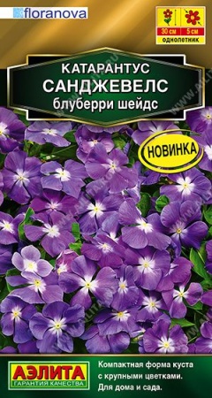 77cfe69d-9eb2-11f1-892e-246e9611e8f6-1