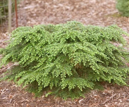 1fe7f2ca-cfb1-11e4-9bdf-001e673ebdea-1