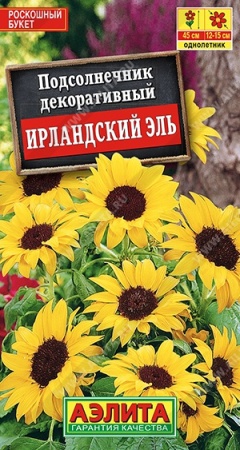 a4859888-ce7e-11e5-91cd-001e673ebdea-1