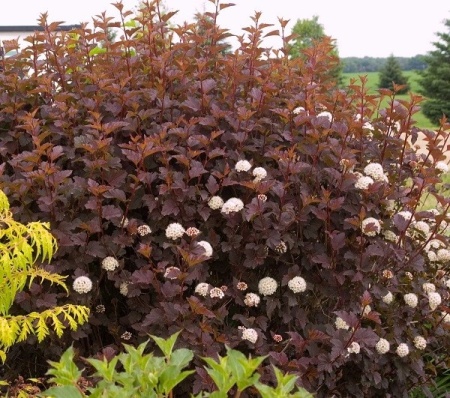 162c333e-4028-11ef-8910-246e9611e8f6-1