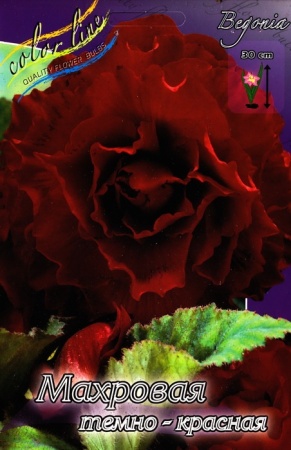 6eae45bc-3740-11eb-b90a-005056c00008-1