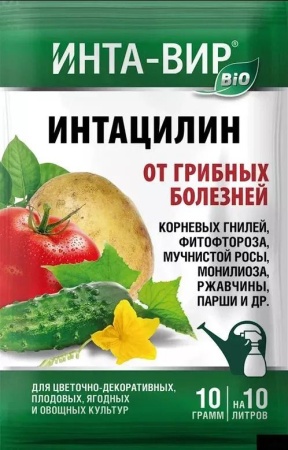 5d804573-da6b-11f0-891e-246e9611e8f6-1