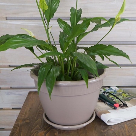 d390c273-5677-11ed-aea3-001e673ebdea-1