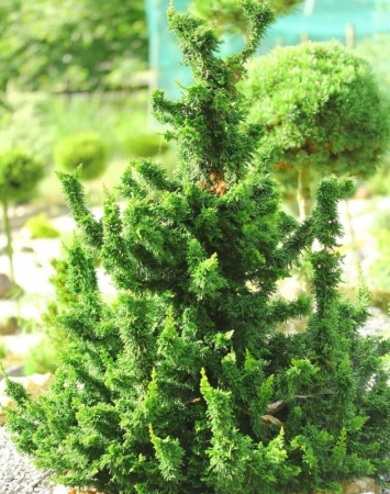 671d9417-c366-11ef-8915-246e9611e8f5-1