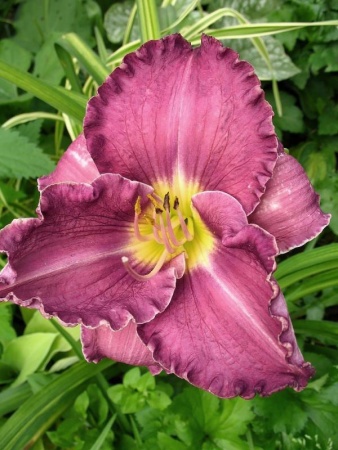 0b5db1d8-000d-11f0-8915-246e9611e8f5-1