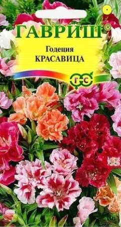 532a10e2-efb3-11de-87e0-0019dbe91ea3-1