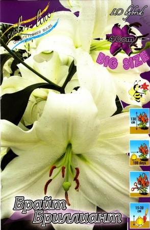 6550b98e-6755-11ed-bd4c-001e673ebdea-1