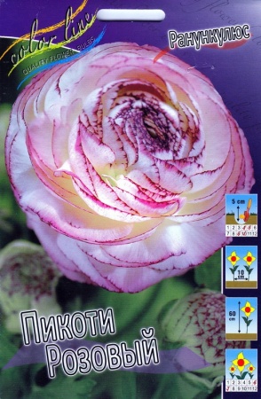 a6c1c2cc-ca4c-11e0-ab72-00500454e615-1