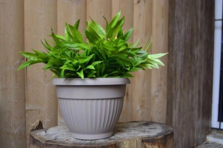 5cd4b5b5-58de-11ed-aea3-001e673ebdea-1