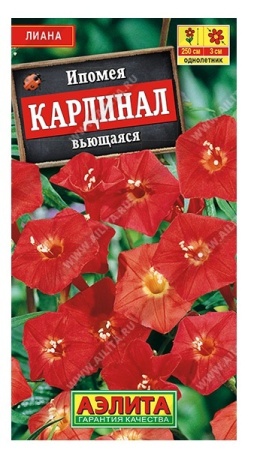 693746e5-f8c6-11ea-b984-005056c00008-1