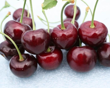 d76155dc-f37f-11f0-8923-246e9611e8f6-1