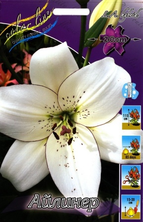 cad91b44-675c-11ed-bd4c-001e673ebdea-1