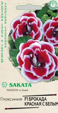 82f98beb-798a-11e1-9ad6-00500454e615-1