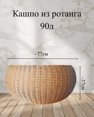 01a79b2b-da89-11f0-891e-246e9611e8f6-2