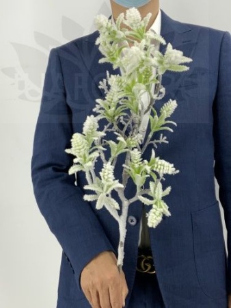 a66510af-caa2-11f0-891e-246e9611e8f6-1