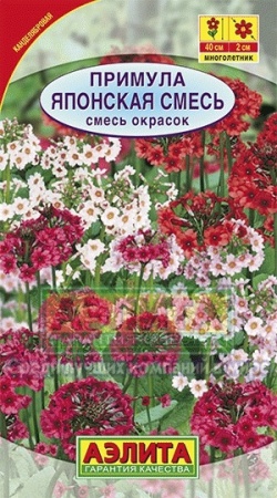 954d9622-dcea-11dd-9138-00500454e615-2