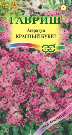 1d742337-5c72-11eb-8873-005056c00008-1