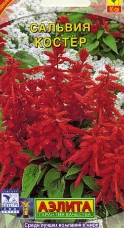 1346333a-2b13-11e1-be7f-00500454e615-2